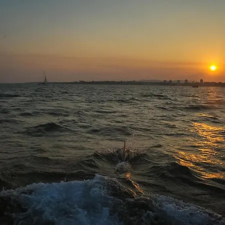 Paradiso 'в' 403 Fancy شقة نيسيبار