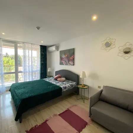 Paradiso 'в' 403 Fancy *